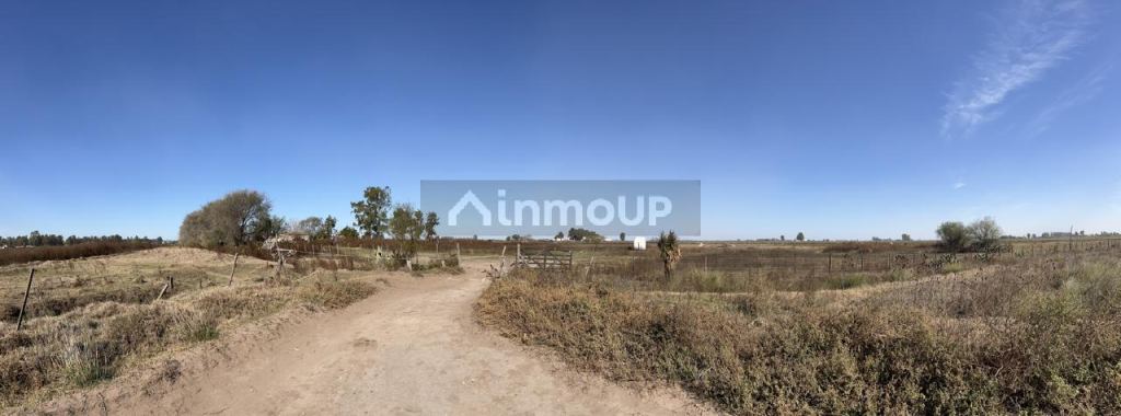 Finca en Venta en Pehuajo, Buenos Aires Interior