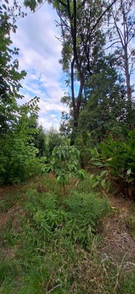 Terreno en Venta en Moreno, G.B.A. Zona Oeste