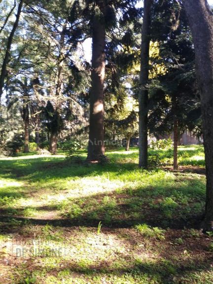 Terreno en Venta en Moreno, G.B.A. Zona Oeste