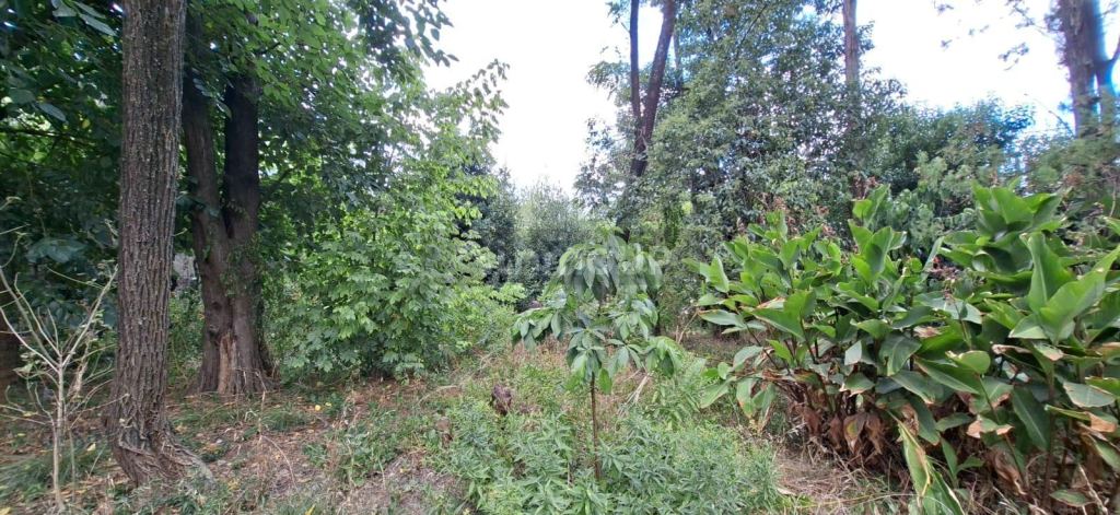 Terreno en Venta en Moreno, G.B.A. Zona Oeste