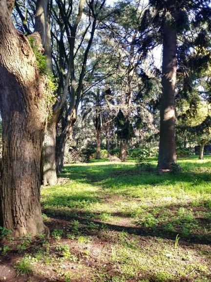 Terreno en Venta en Moreno, G.B.A. Zona Oeste