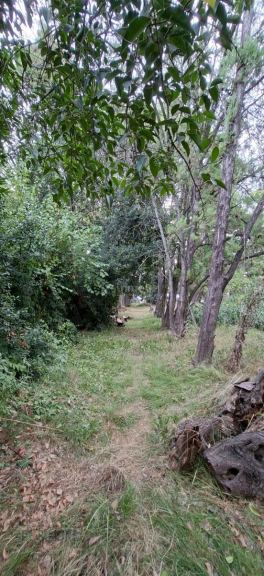 Terreno en Venta en Moreno, G.B.A. Zona Oeste