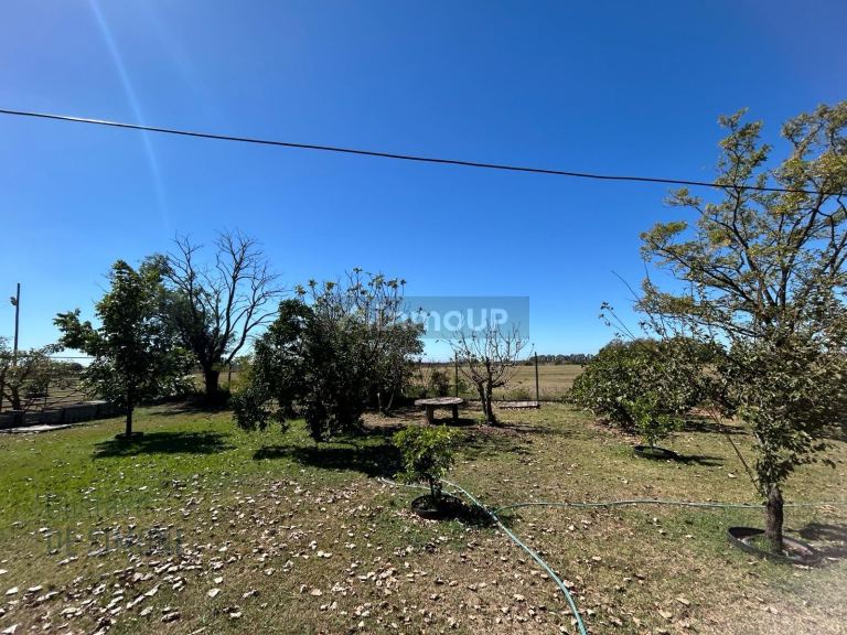 Terreno en Venta en Presidente Peron, G.B.A. Zona Sur