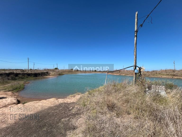 Terreno en Venta en Presidente Peron, G.B.A. Zona Sur