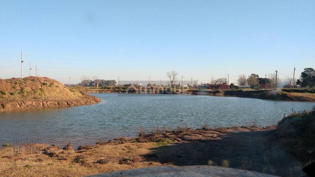 Terreno en Venta en Presidente Peron, G.B.A. Zona Sur