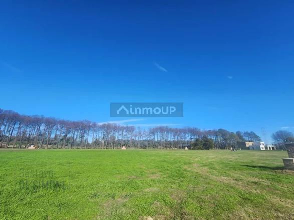 Terreno en Venta en General Rodriguez, G.B.A. Zona Oeste
