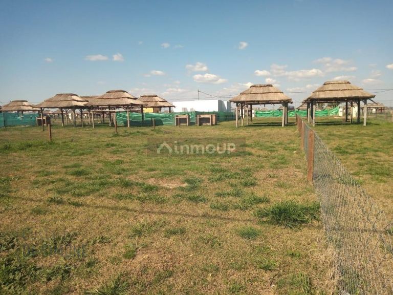 Terreno en Venta en General Rodriguez, G.B.A. Zona Oeste