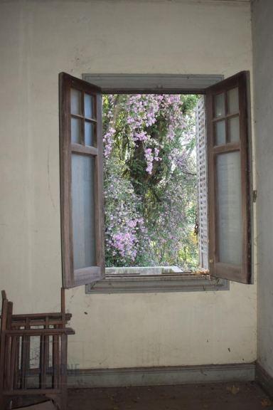 Casa Quinta en Venta en Moreno, G.B.A. Zona Oeste