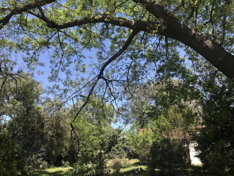 Terreno en Venta en General Rodriguez, G.B.A. Zona Oeste