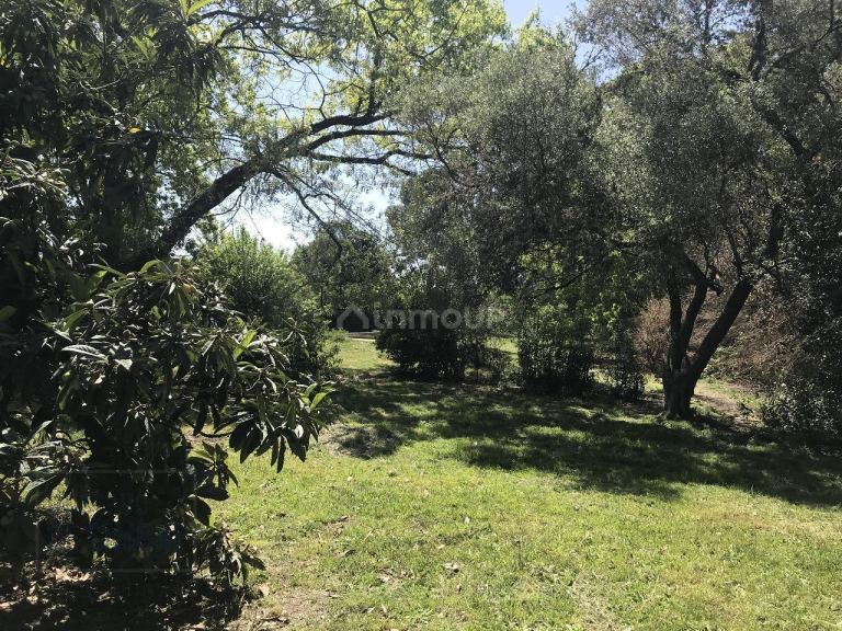 Terreno en Venta en General Rodriguez, G.B.A. Zona Oeste