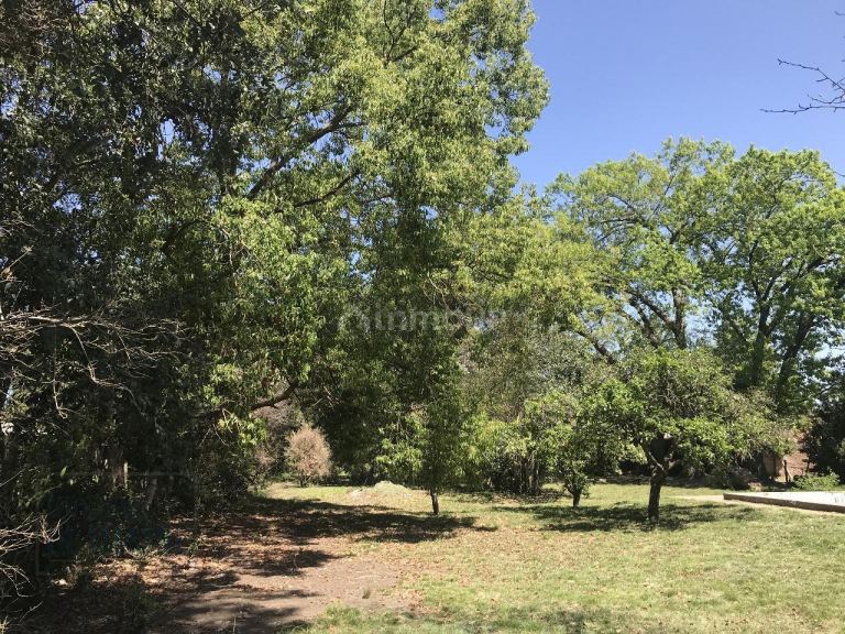 Terreno en Venta en General Rodriguez, G.B.A. Zona Oeste
