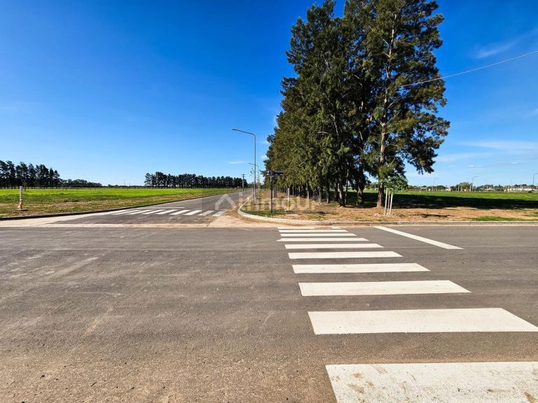 Terreno en Venta en Rosario, Santa Fe