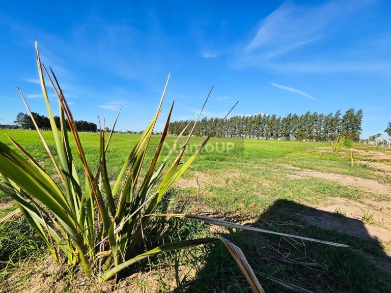 Terreno en Venta en Rosario, Santa Fe