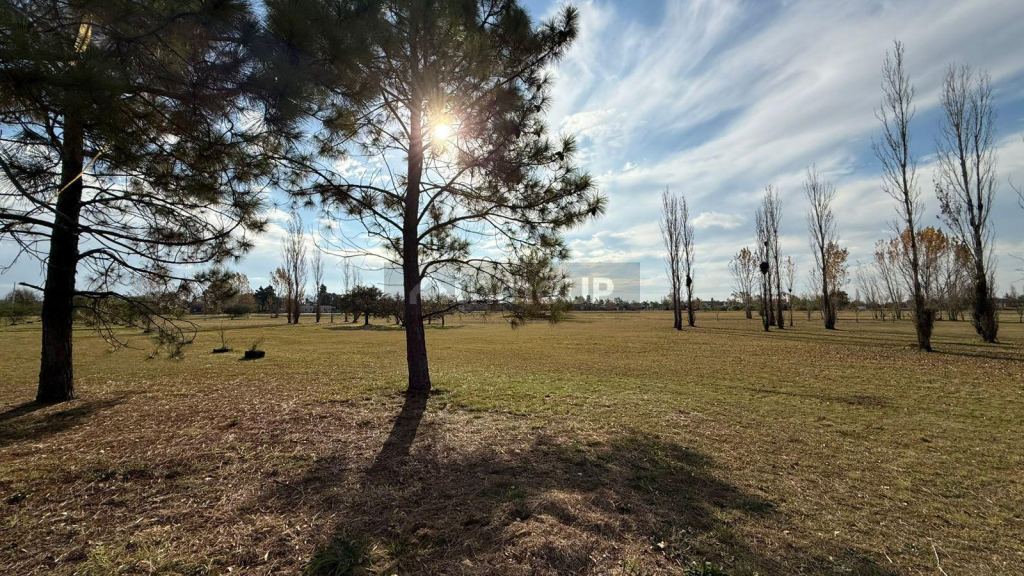 Terreno en Venta en Roldán, Santa Fe