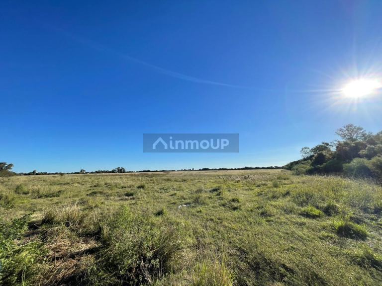 Campo en Venta en La Capital, Santa Fe