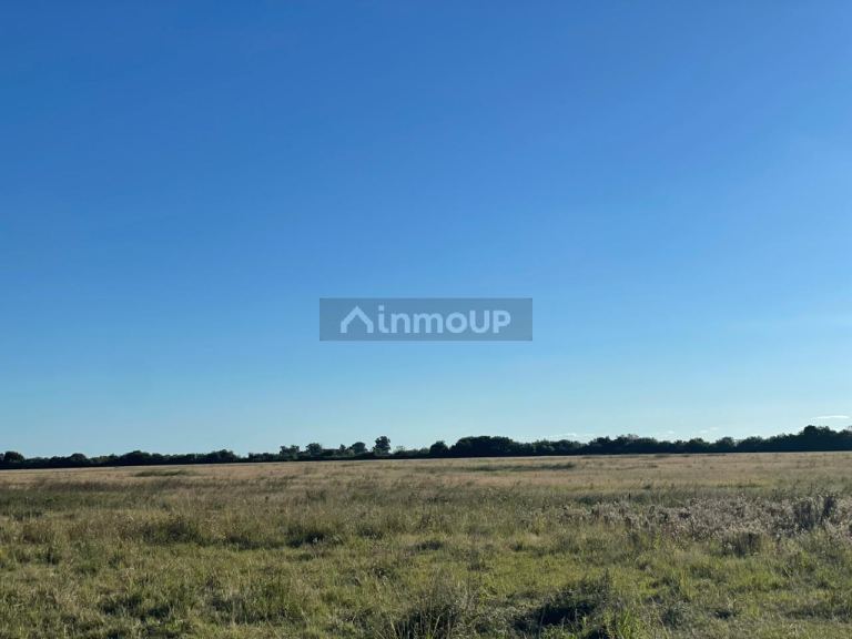 Campo en Venta en La Capital, Santa Fe