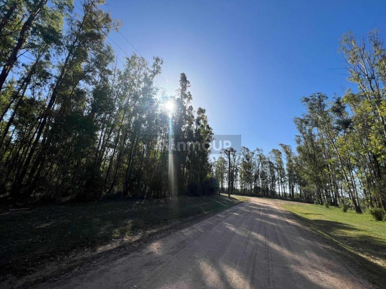 Terreno en Venta en Ramallo, Buenos Aires Interior