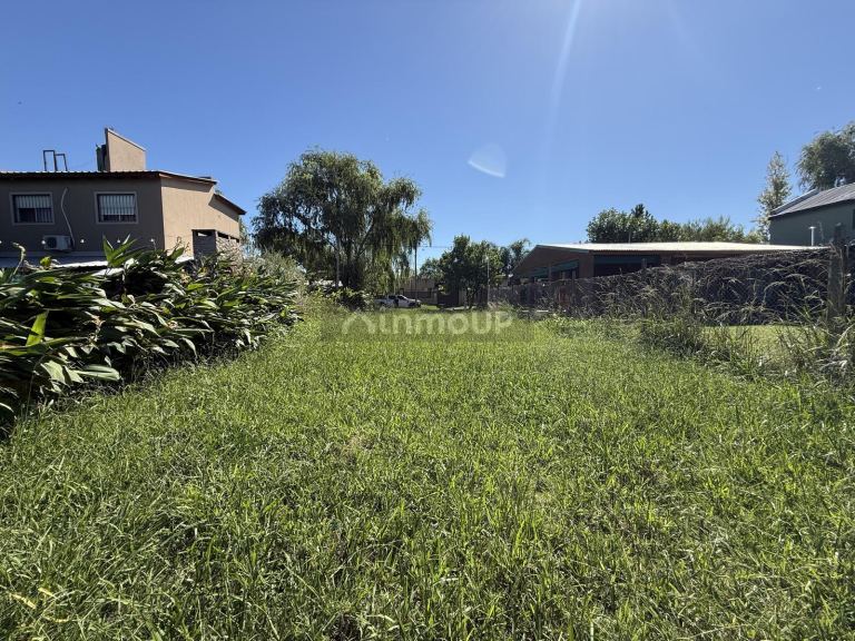 Terreno en Venta en Roldán, Santa Fe - USD 30.000 | Inmoup - 9