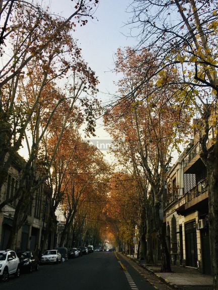 Departamento en Venta en Palermo, Capital Federal