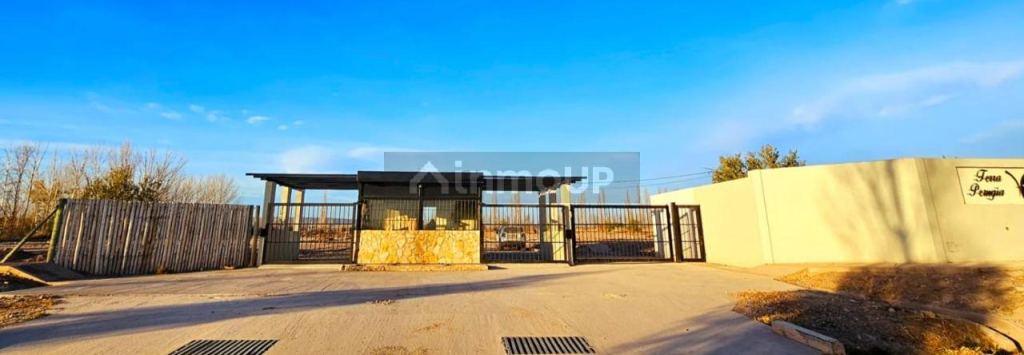 Terreno en Venta en Maipu, Mendoza