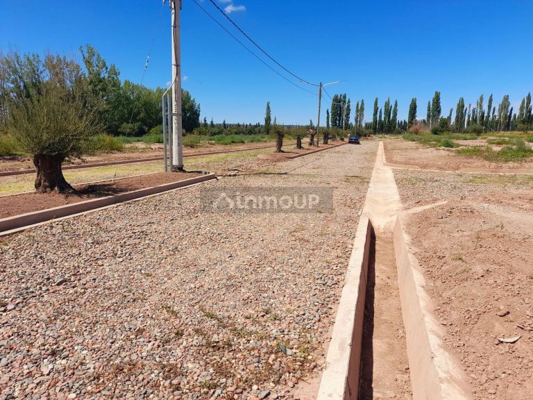 Terreno en Venta en Maipu, Mendoza