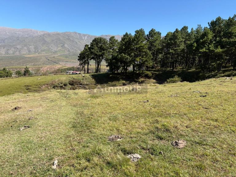Terreno en Venta en Tafi del valle, Tucuman