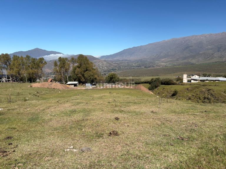 Terreno en Venta en Tafi del valle, Tucuman