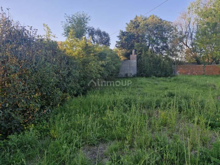 Terreno en Venta en Roldán, Santa Fe - USD 27.000 | Inmoup - 7