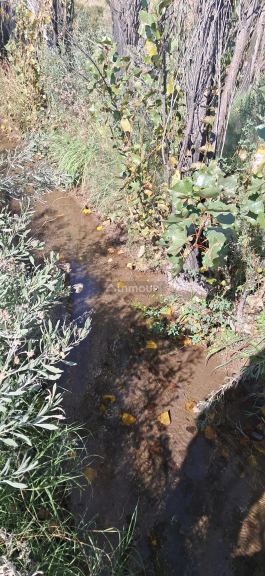 Campo en Venta en San Rafael, Mendoza