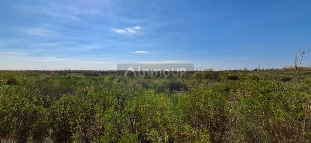 Campo en Venta en San Rafael, Mendoza