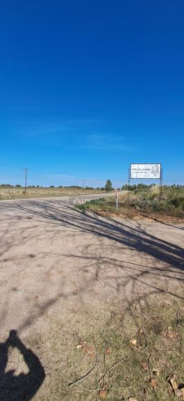 Campo en Venta en San Rafael, Mendoza