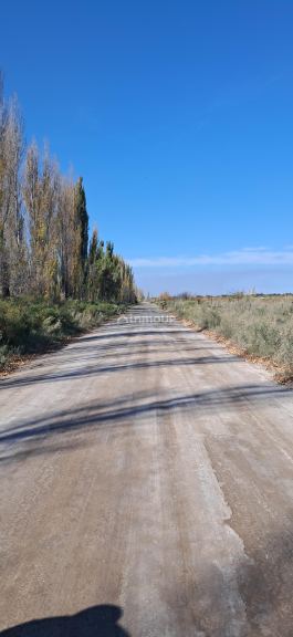 Campo en Venta en San Rafael, Mendoza