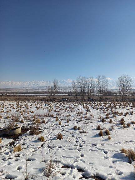 Lote en Venta en Tupungato, Mendoza