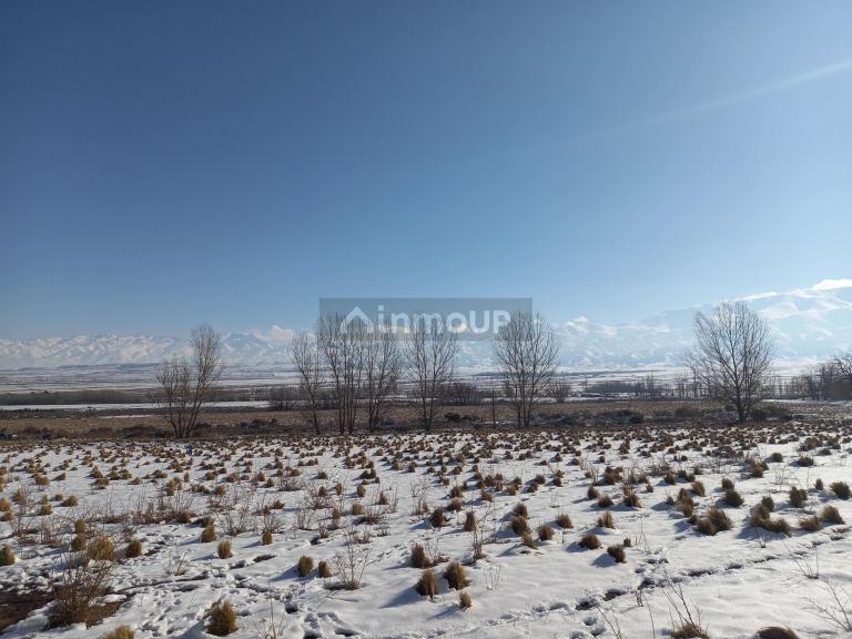 Lote en Venta en Tupungato, Mendoza