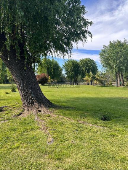 Terreno en Venta en Tigre, G.B.A. Zona Norte