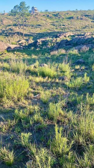 Terreno en Venta en Calamuchita, Cordoba