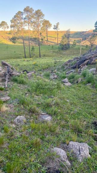 Terreno en Venta en Calamuchita, Cordoba