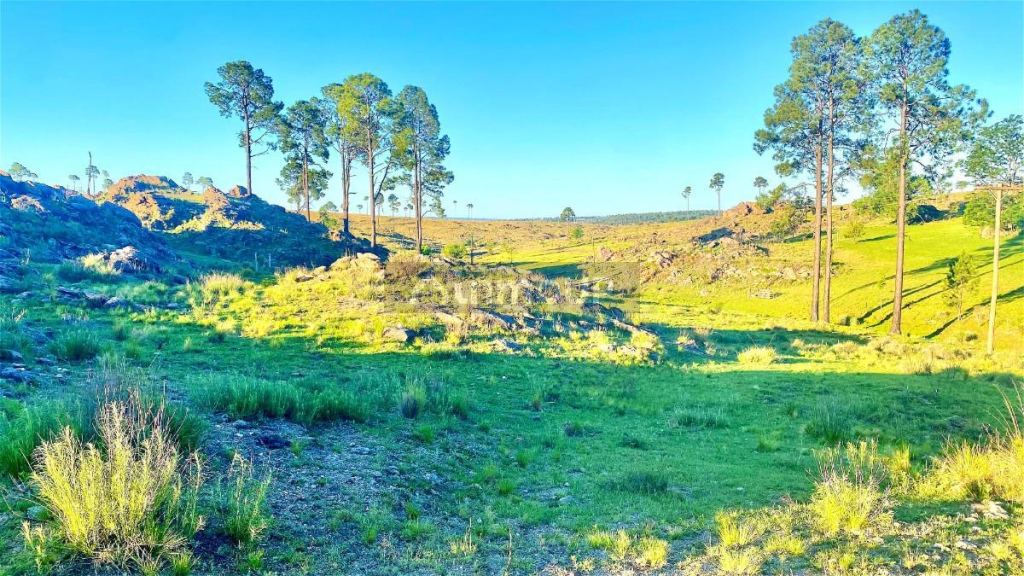 Terreno en Venta en Calamuchita, Cordoba