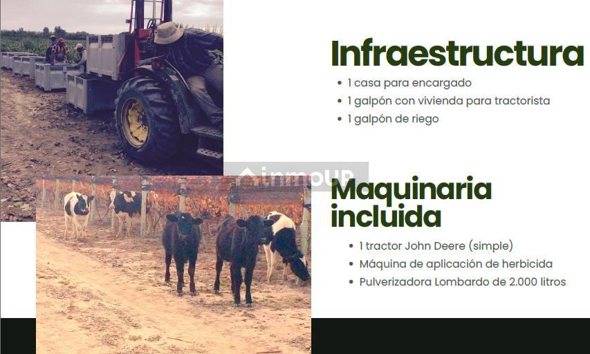 Finca en Venta en Tupungato, Mendoza
