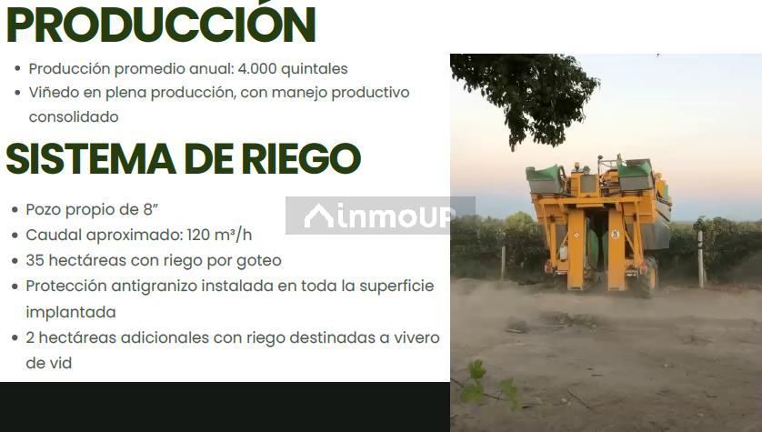 Finca en Venta en Tupungato, Mendoza