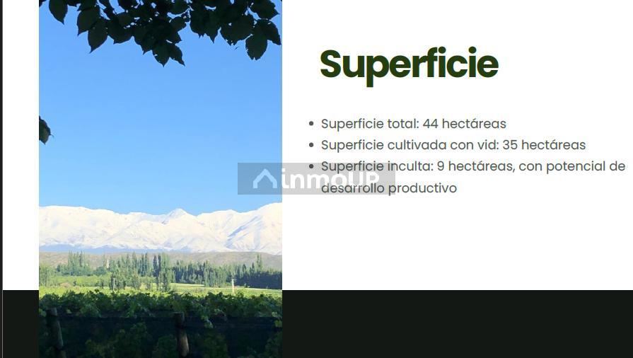 Finca en Venta en Tupungato, Mendoza
