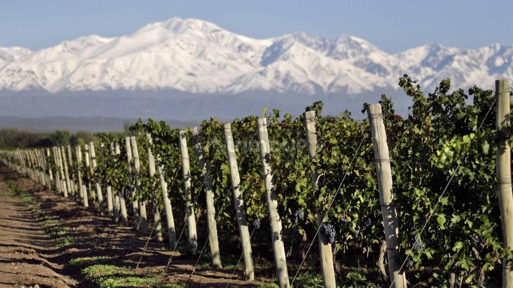 Finca en Venta en Tupungato, Mendoza