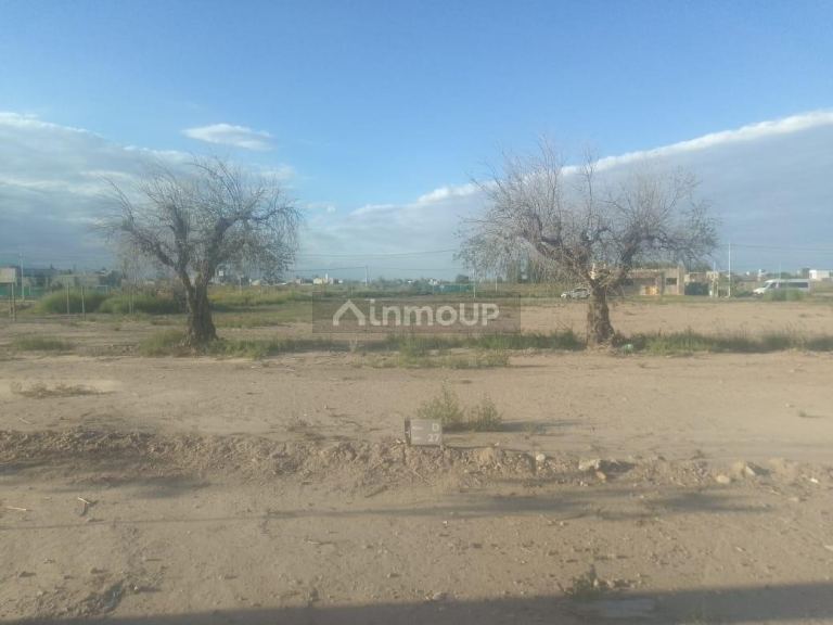 Terreno en Venta en Lujan de Cuyo, Mendoza