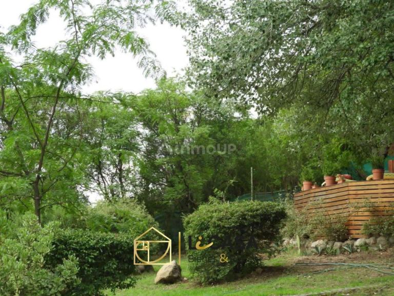 Casa en Venta en San Alberto, Cordoba - USD 150.000 | Inmoup - 10
