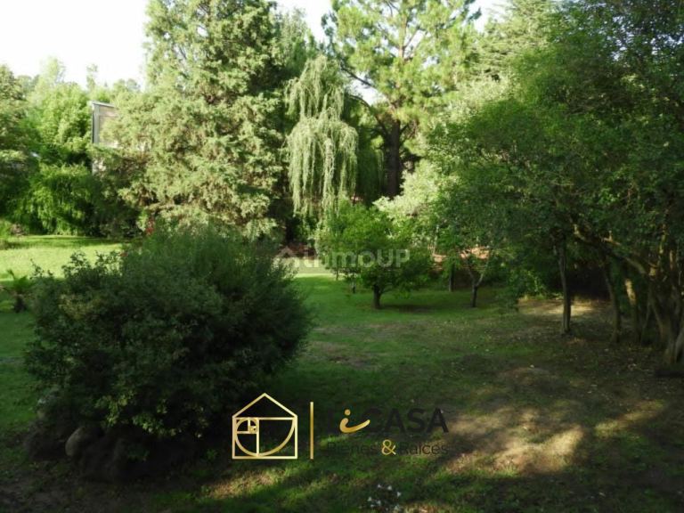 Casa en Venta en San Alberto, Cordoba - USD 150.000 | Inmoup - 19