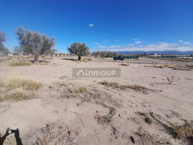 Lote en Venta en Lujan de Cuyo, Mendoza