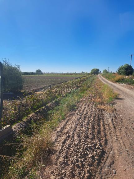 Finca en Venta en Maipu, Mendoza
