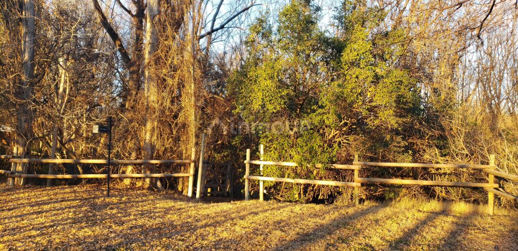 Lote en Venta en Tunuyan, Mendoza