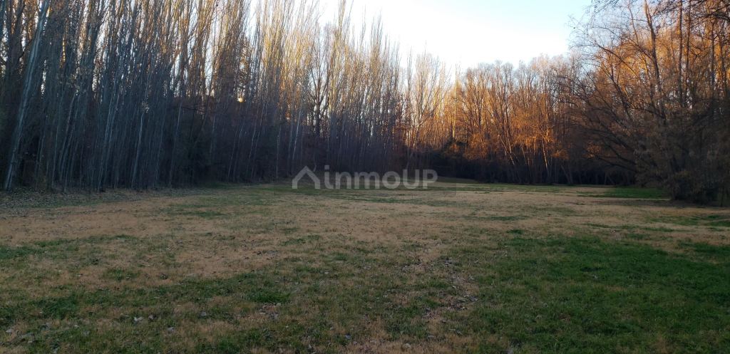 Lote en Venta en Tunuyan, Mendoza