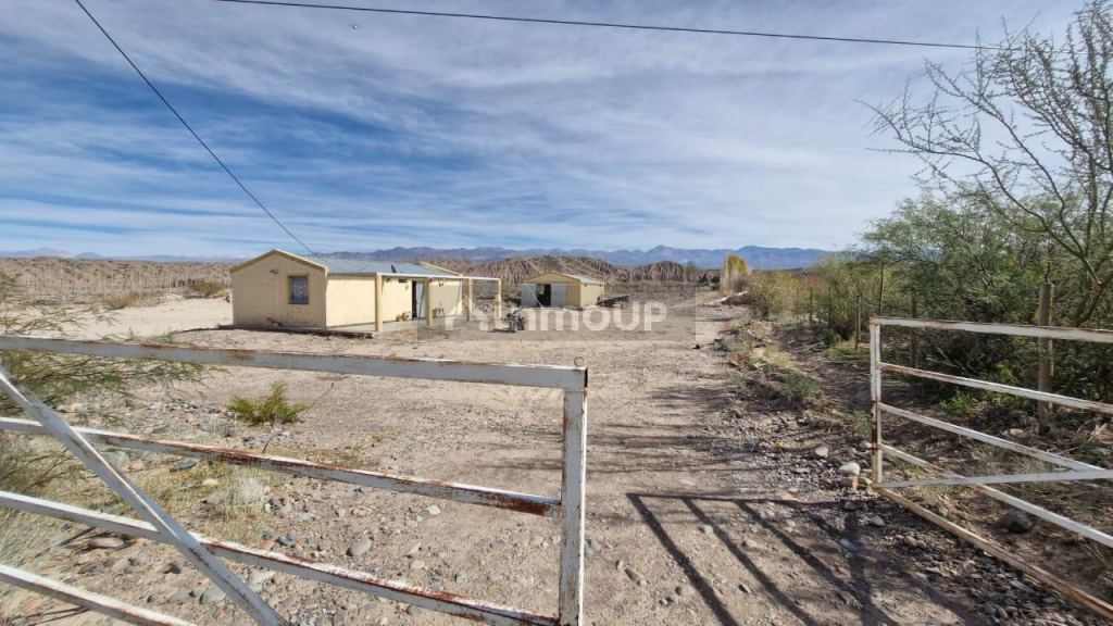 Campo en Venta en Calingasta, San Juan